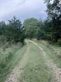 1 Plum Creek Canyon - Photo 19