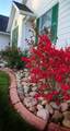 5308 I Avenue - Photo 4