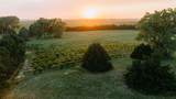 76770 409 Road - Photo 3