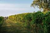 76770 409 Road - Photo 30