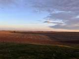 12265 Highway 6 - Photo 41