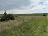385 Road 460 Road - Photo 6
