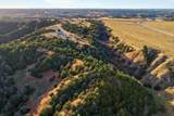 Lot 19 Cedar Bluff - Photo 42