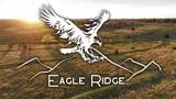 Lot B Eagle Ridge 10 Acres - Photo 1