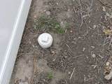520 27th Street - Photo 1