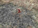 22 Birdie Lane - Photo 8