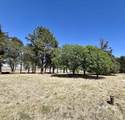 28105 115th Road - Photo 44