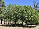 28105 115th Road - Photo 45