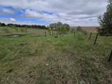 1136 T Road - Photo 11