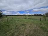 1136 T Road - Photo 12