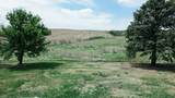 34740 Hawk Road - Photo 11