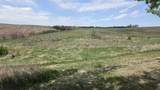 34740 Hawk Road - Photo 4