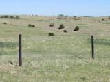 TBD Watertown Road - Photo 2