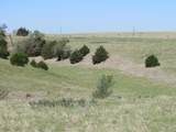 TBD Watertown Road - Photo 4
