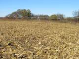 TBD Watertown Road - Photo 5