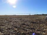 TBD Watertown Road - Photo 8