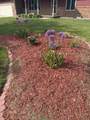 929 Richmond Avenue - Photo 3