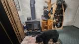 1009 17th Street - Photo 28