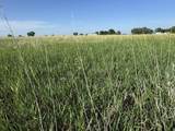 41861 Railroad Street - Photo 38