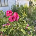 41861 Railroad Street - Photo 48
