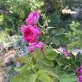 41861 Railroad Street - Photo 49