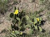  I 80 - Photo 7