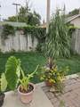 1134 8th Street - Photo 7