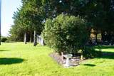 74251 Road 430 - Photo 43