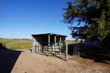 74251 Road 430 - Photo 50