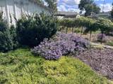 1410 O Street - Photo 33