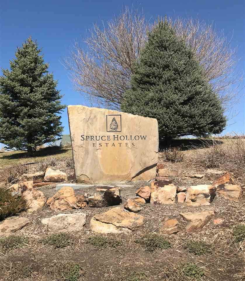 L3B1 Spruce Hollow Estates 8th - Photo 1