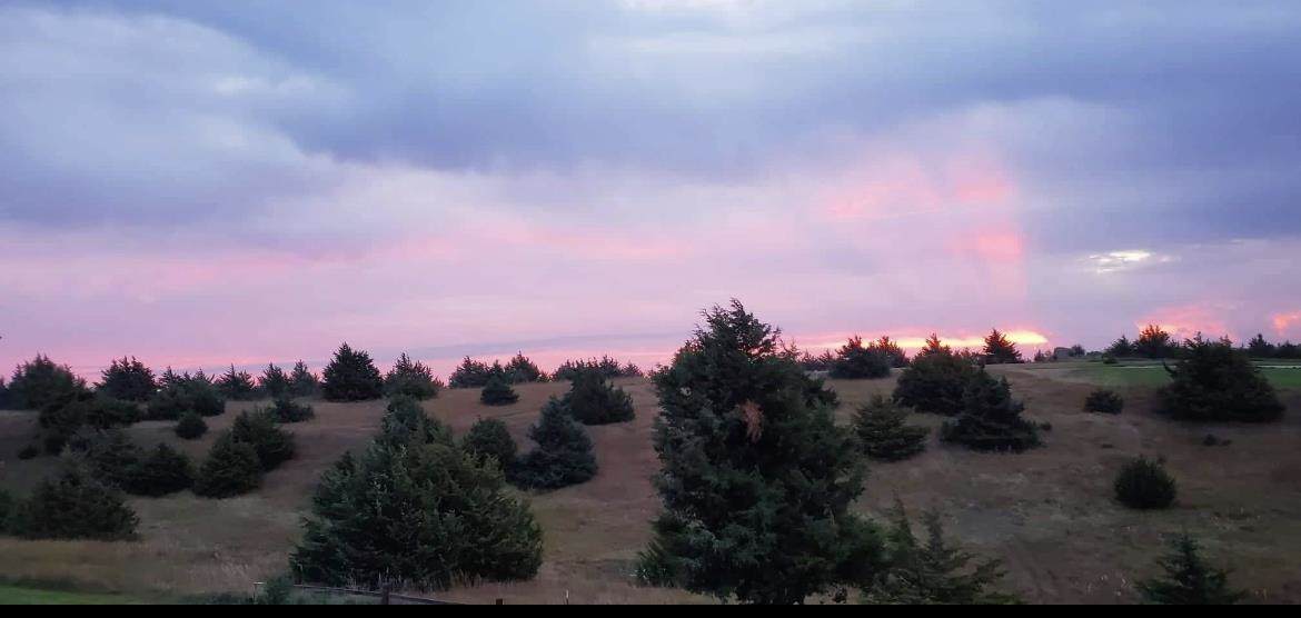 L2B3 Eagle View Estates - Photo 1