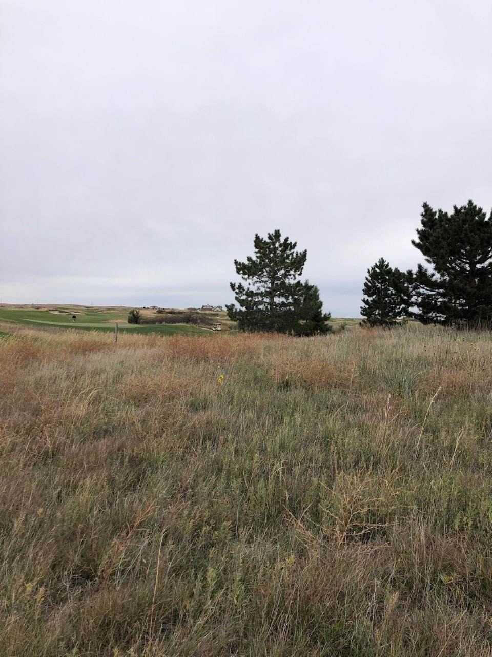 Lot 41 768 Road - Photo 1