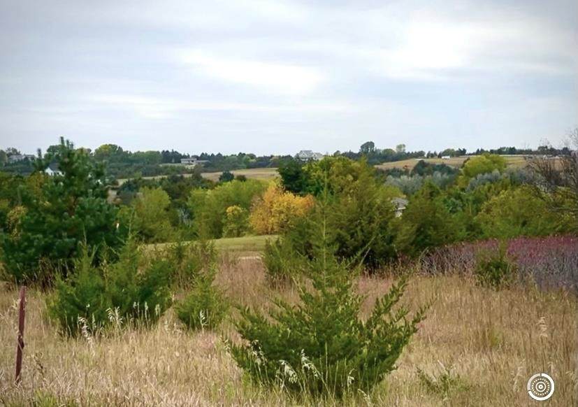 TBD Ridgeline Road - Photo 1