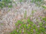 285 Digby Rd - Photo 6