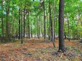 Lot 9 Serenity Point - Photo 11
