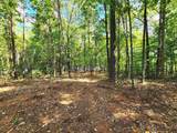 Lot 9 Serenity Point - Photo 8