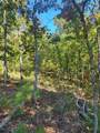 Lot 73 Day Lilly Ln - Photo 3