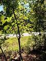 LT.137 Little River Trl. - Photo 4