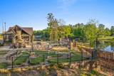 261 Chimney Rock Trail - Photo 7