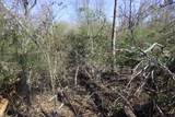 Lt.1 Harrison Davisboro Rd. - Photo 4