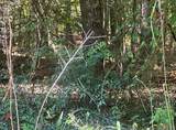 lot A-99 Possum Point Dr - Photo 1