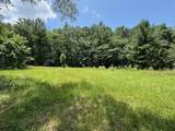107 Forest Valley Drive - Photo 5