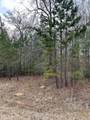 Lot 15 Oconee Springs Rd - Photo 3