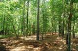 Lot 12 Dogwood Drive - Photo 5