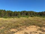 117 Moran Springs - Photo 14