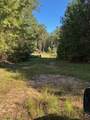 117 Moran Springs - Photo 17