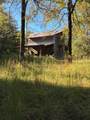 117 Moran Springs - Photo 5