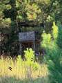 117 Moran Springs - Photo 7