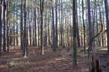 2991 Carey Station Rd - Photo 4